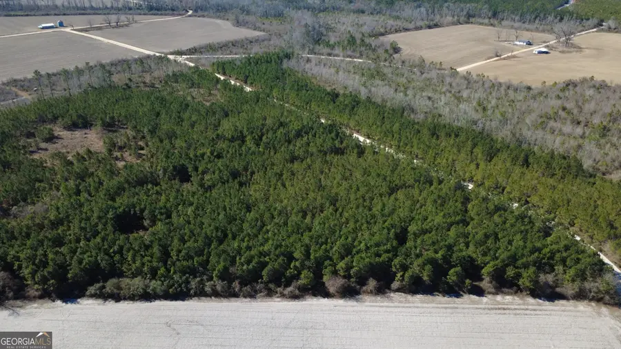 TRACT 3 Greyhound Road, Mershon, GA 31551 - #3