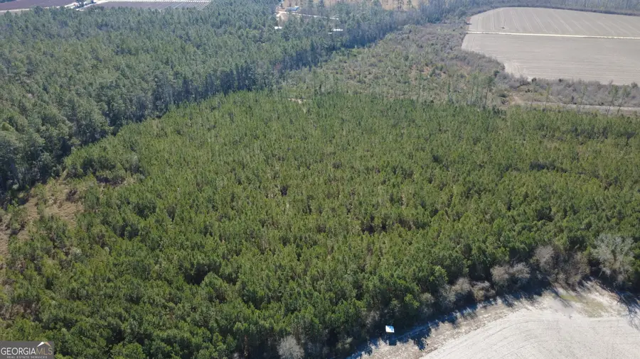 TRACT 4 Greyhound Road, Mershon, GA 31551 - #2