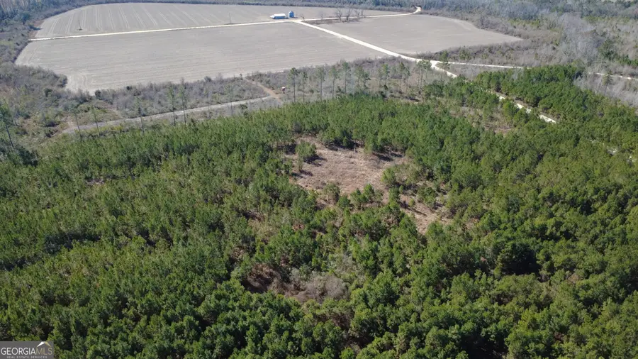 TRACT 4 Greyhound Road, Mershon, GA 31551 - #3