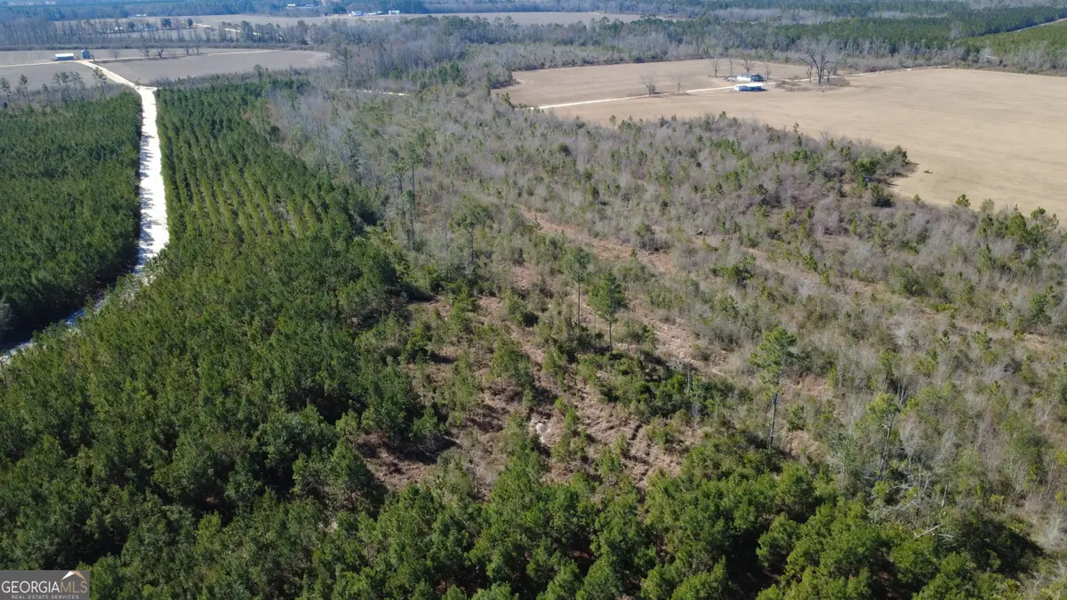 TRACT 5 Greyhound Road, Mershon, GA 31551 - #1