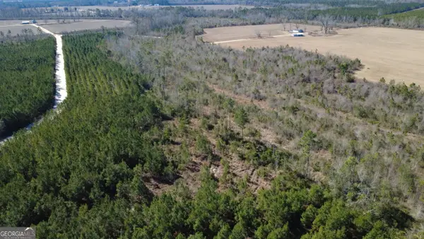 TRACT 5 Greyhound Road, Mershon, GA 31551