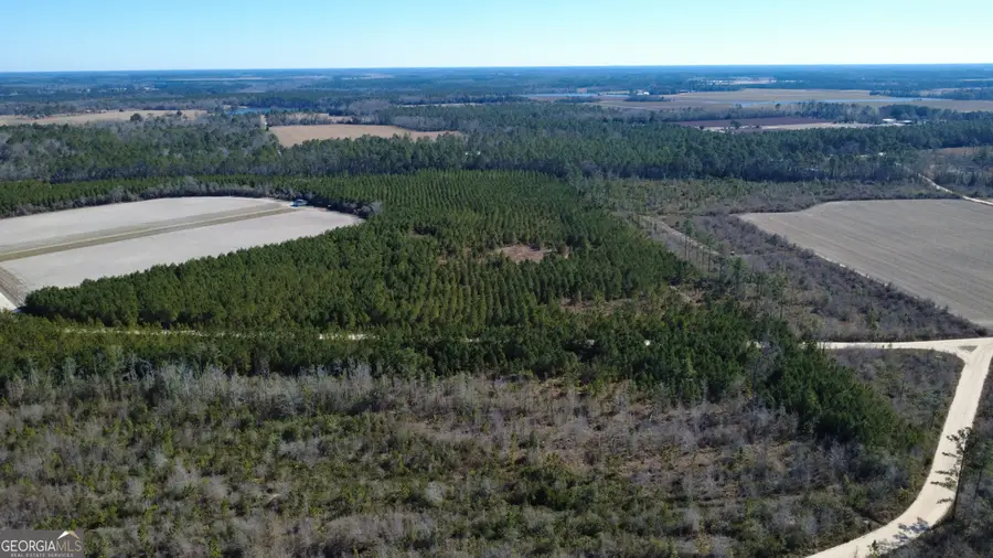 TRACT 5 Greyhound Road, Mershon, GA 31551 - #2