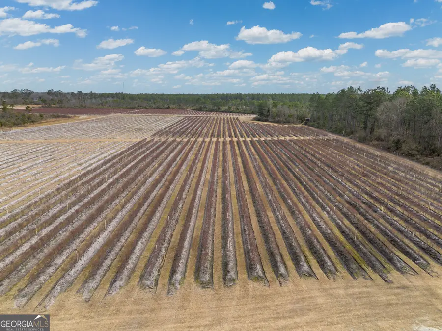 367 Whipporwill Road, Nicholls, GA 31554 - #3