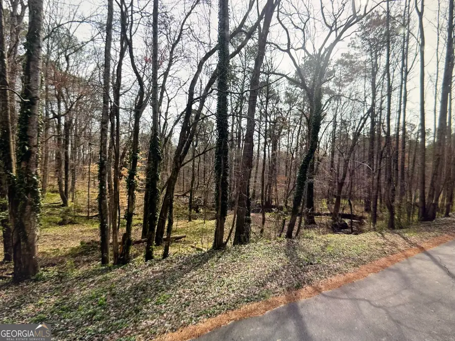 303 Mariner Circle, Woodstock, GA 30189 - #2