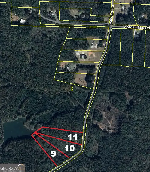 0 Padgett Road #LOT 10, Senoia, GA 30276 - #2