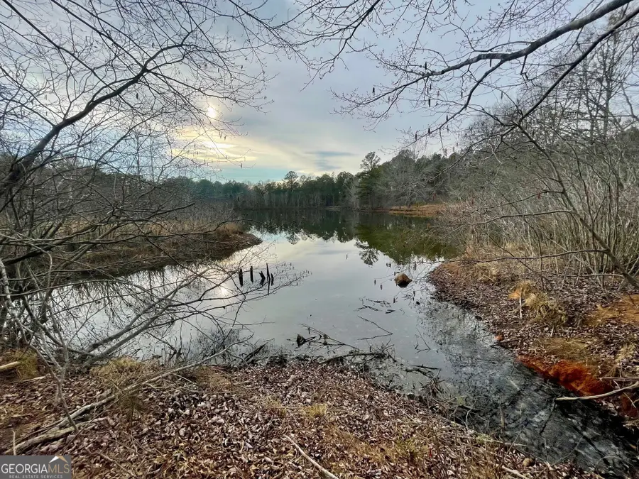 0 Padgett Road #LOT 10, Senoia, GA 30276 - #3