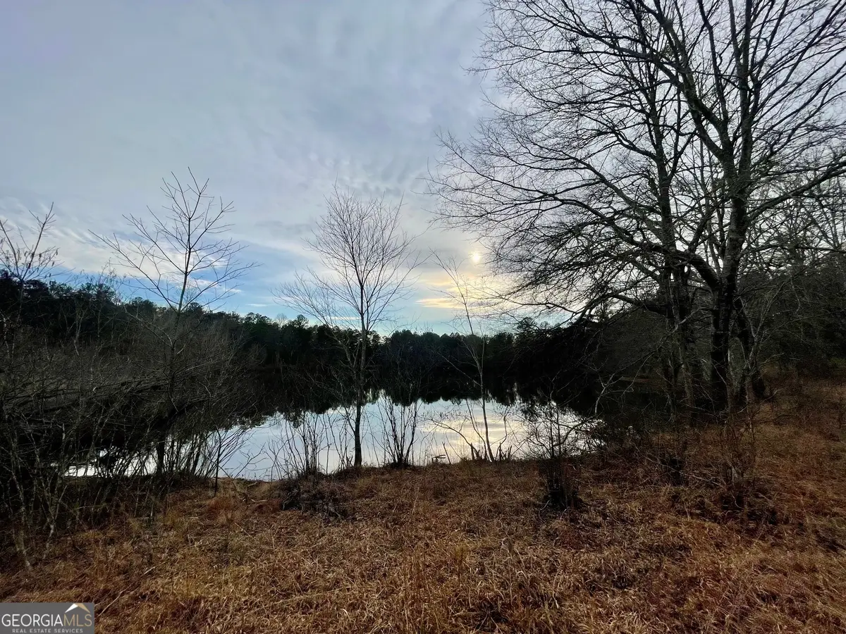 0 Padgett Road #LOT 11, Senoia, GA 30276 - #1