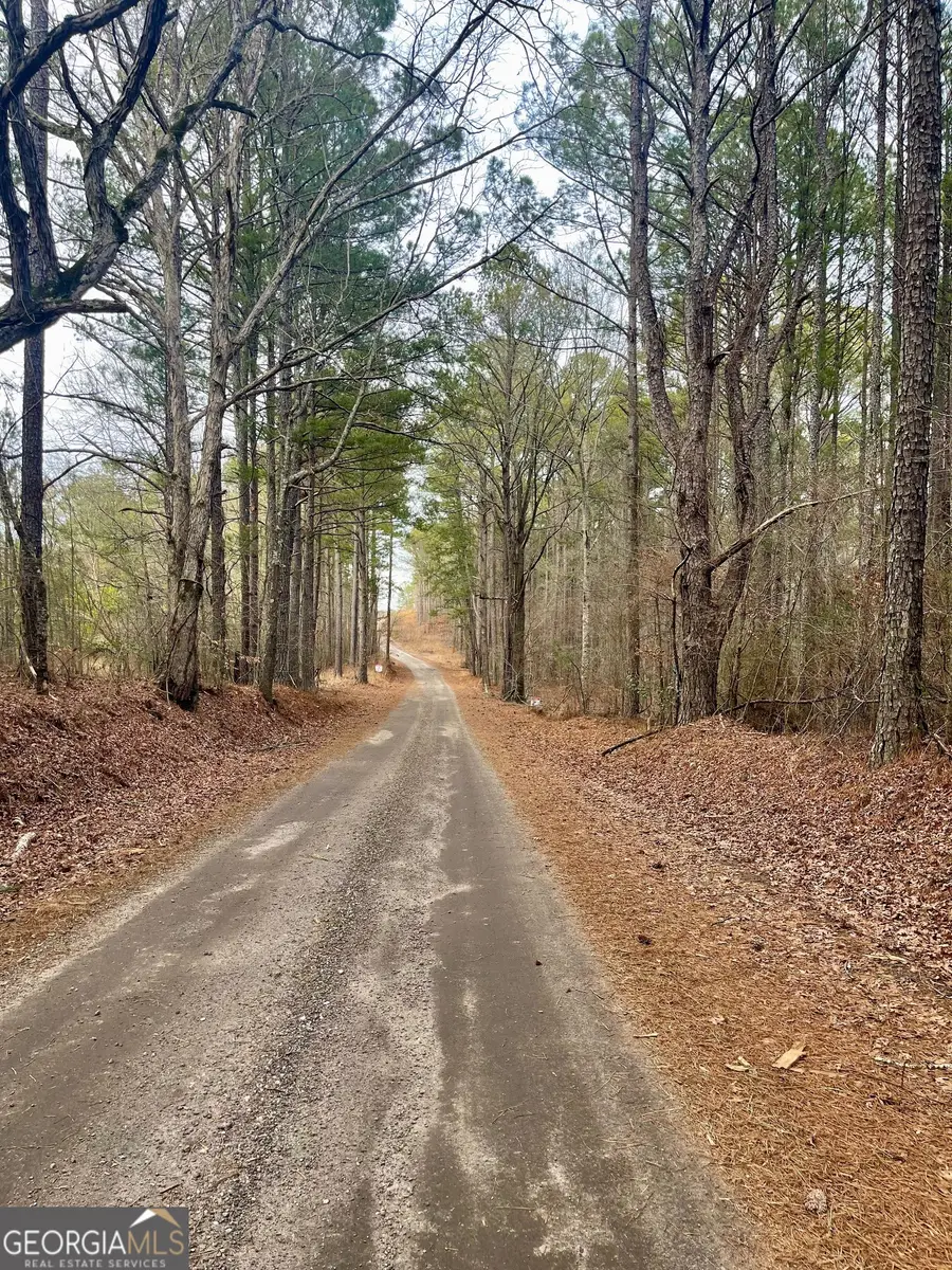 0 Padgett Road #LOT 12, Senoia, GA 30276 - #3