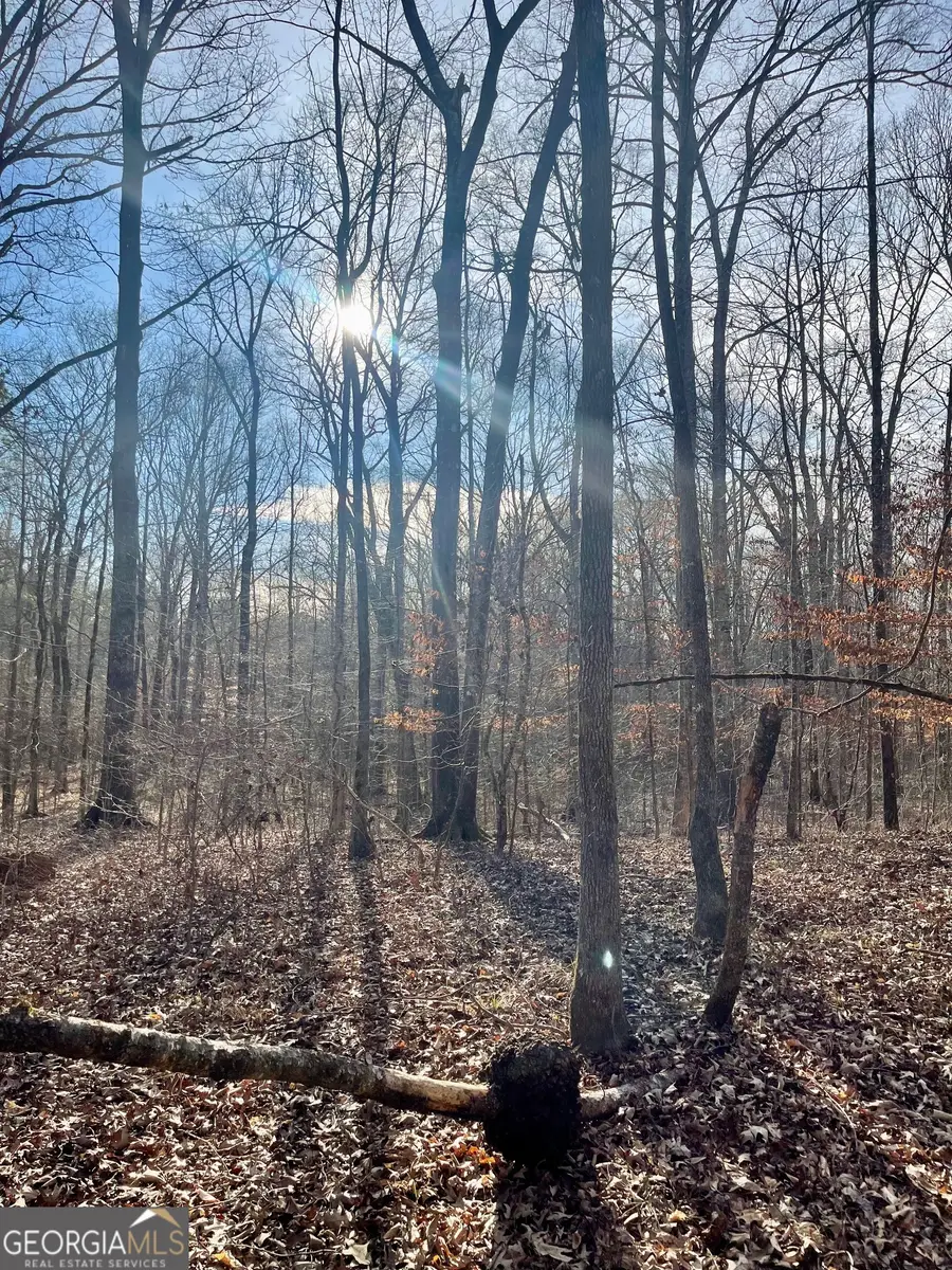 0 Padgett Road #LOT 13, Senoia, GA 30276 - #2