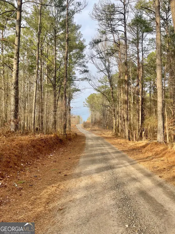 0 Padgett Road #LOT 14, Senoia, GA 30276