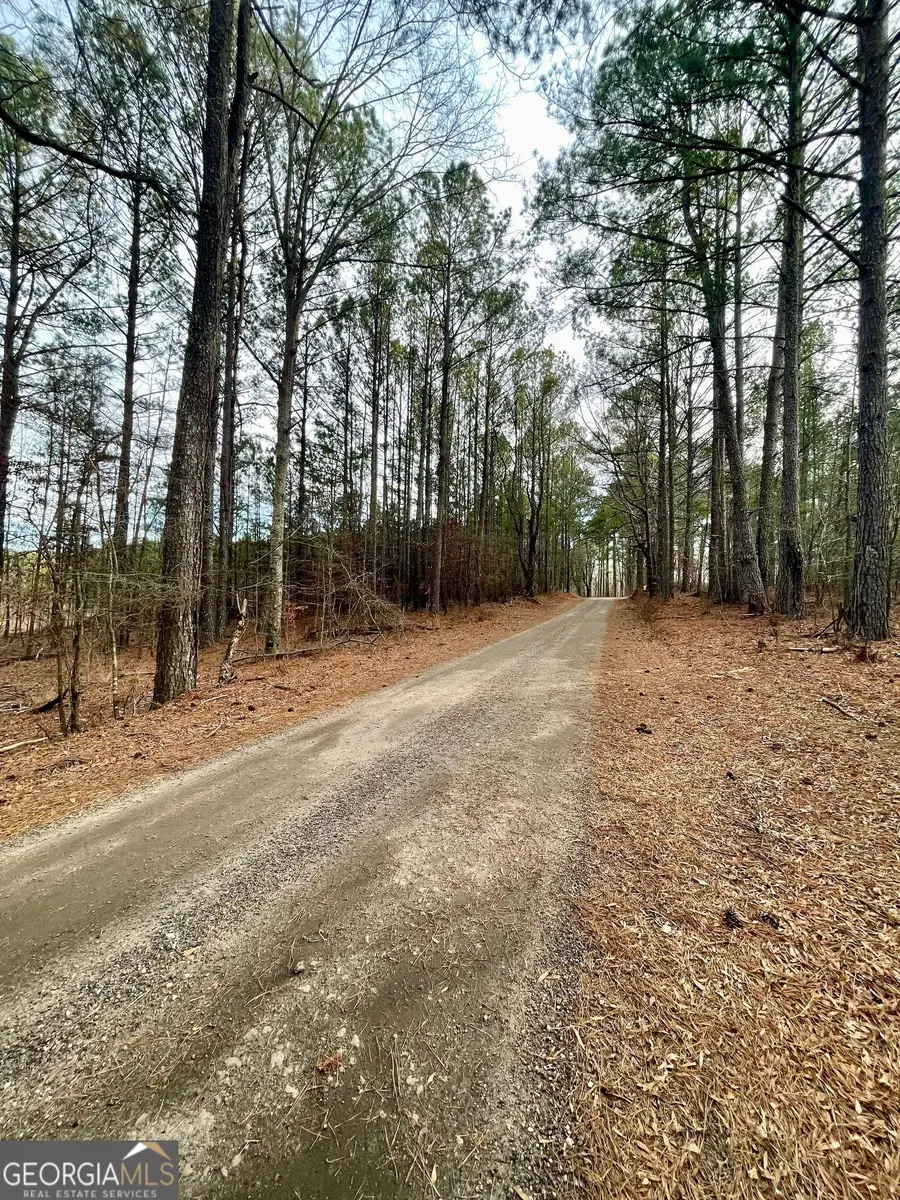 0 Padgett Road #LOT 14, Senoia, GA 30276 - #2