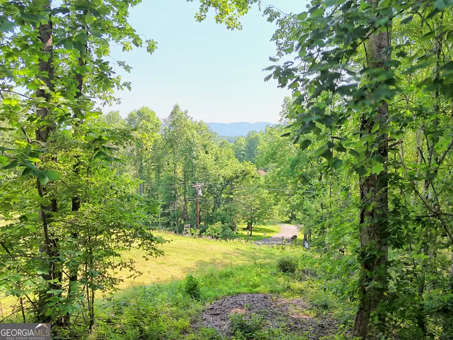 28 Coon Tail Road, Blairsville, GA 30512 - #3