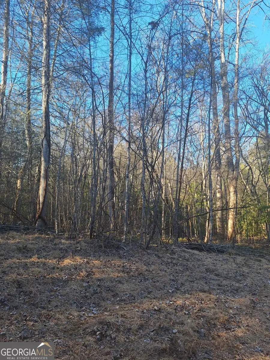 0 Bent Wood Lane, Blue Ridge, GA 30513 - #2