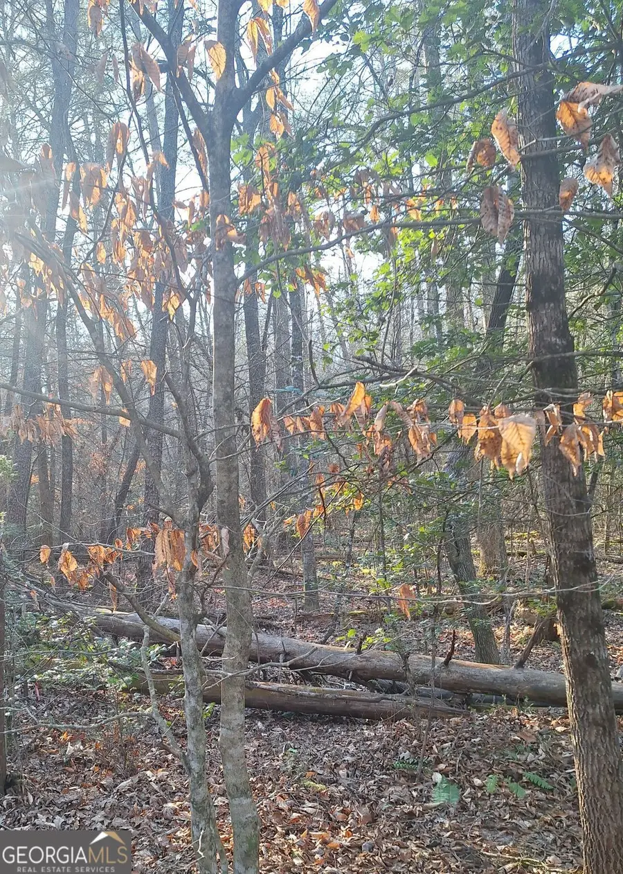 0 Bent Wood Lane, Blue Ridge, GA 30513 - #3