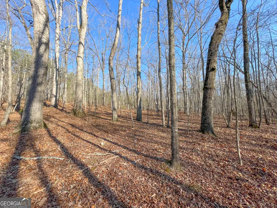 21 +/- Acres On Allgood Church Rd., Temple, GA 30179 - #3