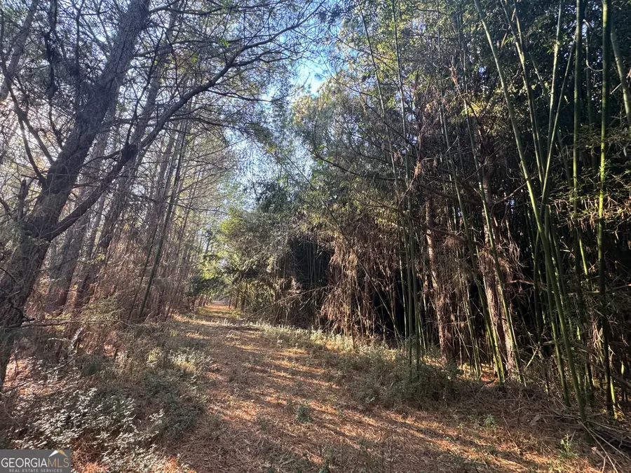 61 Highway 145, Eastanollee, GA 30538 - #2