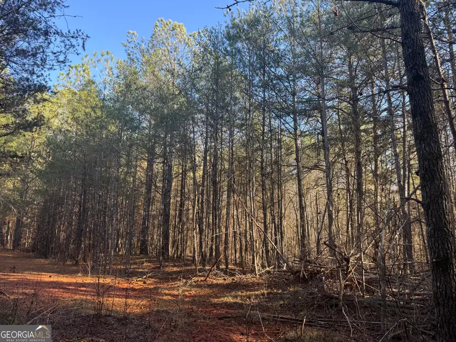 61 Highway 145, Eastanollee, GA 30538 - #3