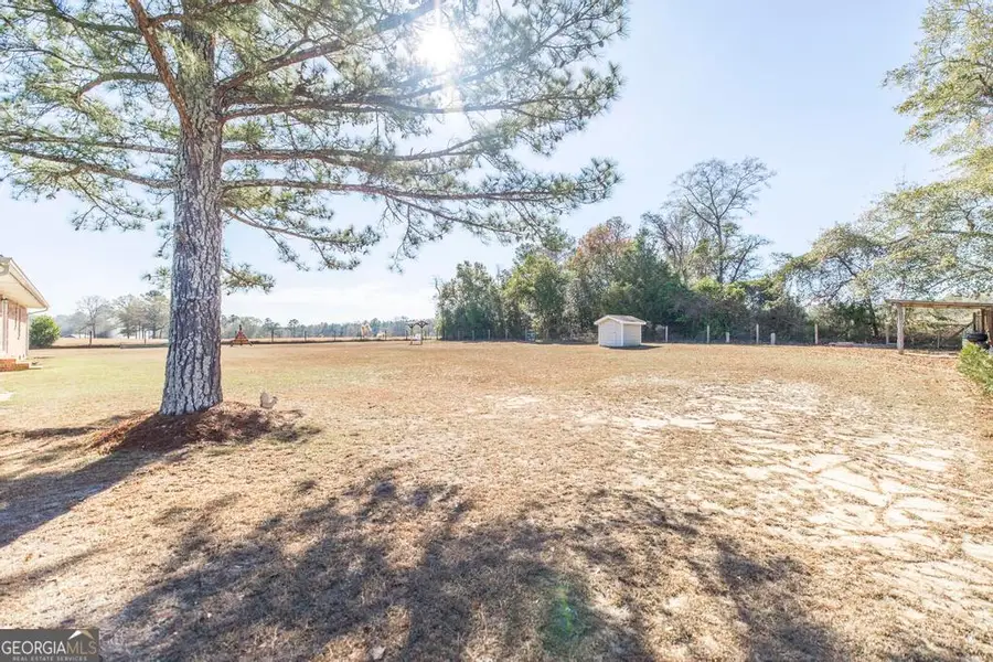 26 Mount Olive Church Road, Reynolds, GA 31076 - #2