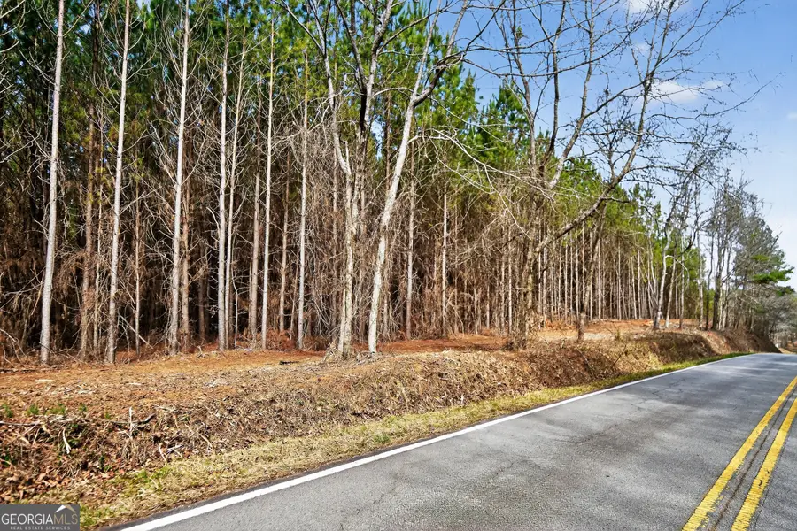 LOTS 1/2/3 Lower Harmony Rd, Eatonton, GA 31024 - #2