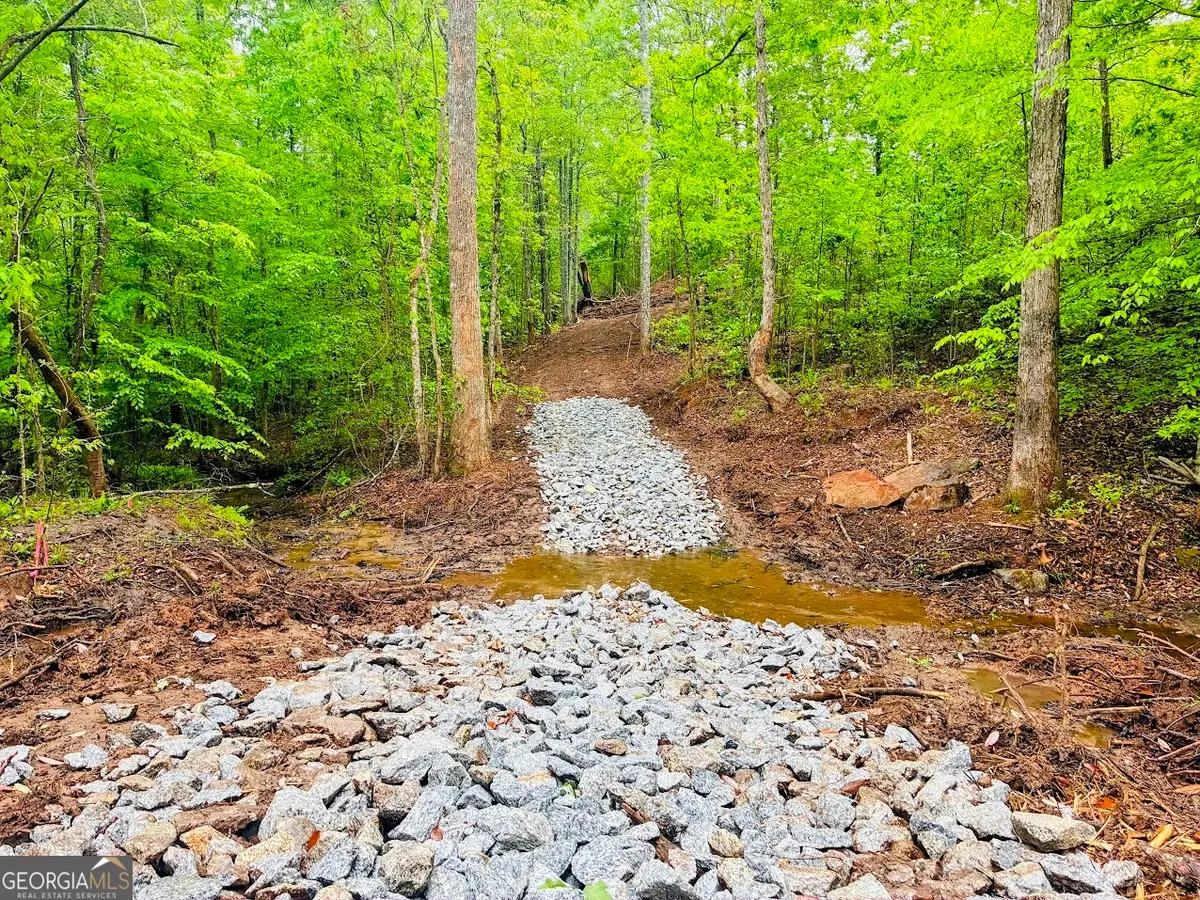 0 Old Highway 431 #TRACT 1, Wedowee, AL 36278 - #1