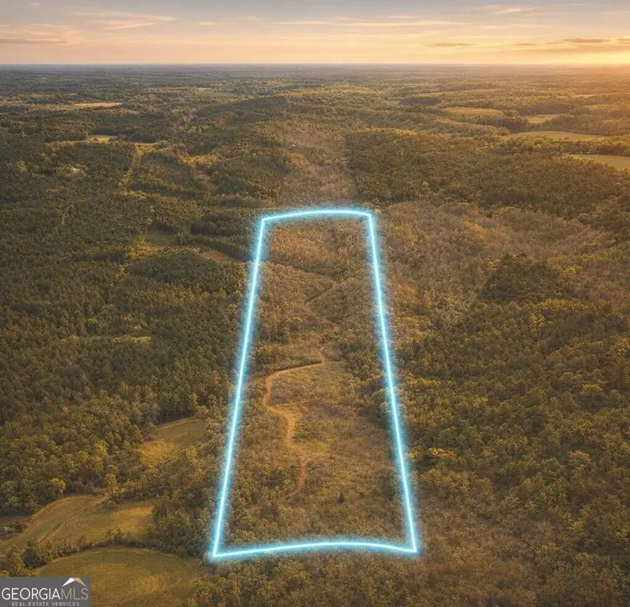 0 Old Highway 431 #TRACT 1, Wedowee, AL 36278 - #3