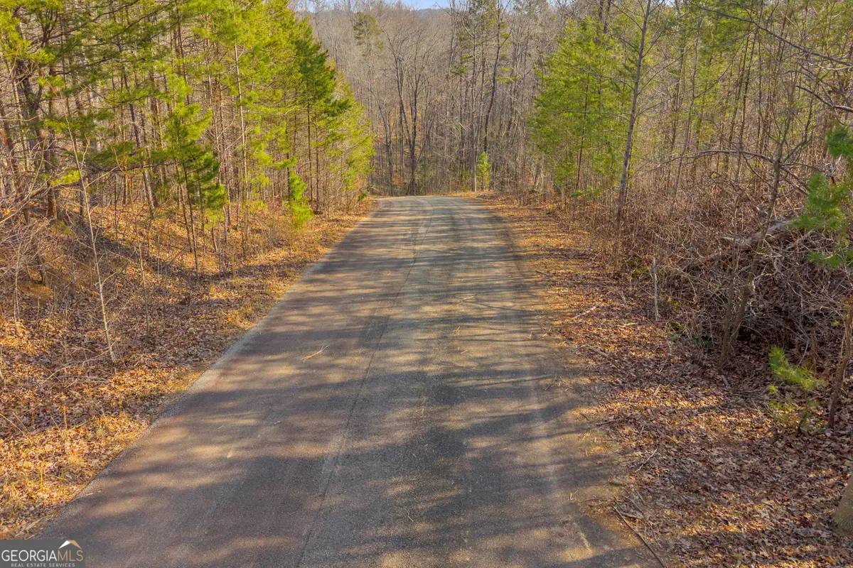 0 Planters Creek, Banks, GA 30511 - #1