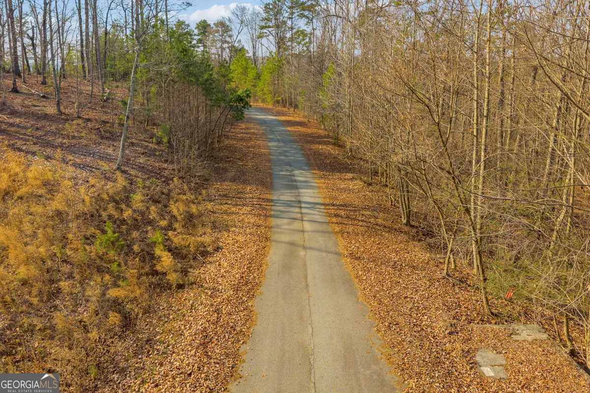 0 Planters Pointe Drive, Banks, GA 30511 - #1