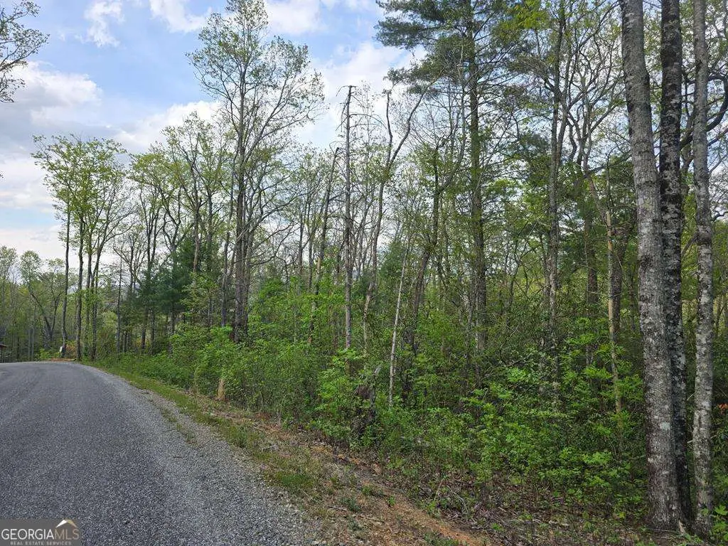 LOT 10 Kennedys Court, Blairsville, GA 30512 - #1