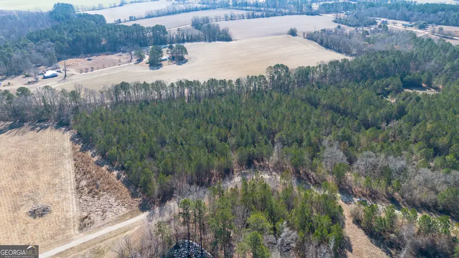 0 Clifton Rd- Lot 1, Statesboro, GA 30458 - #3