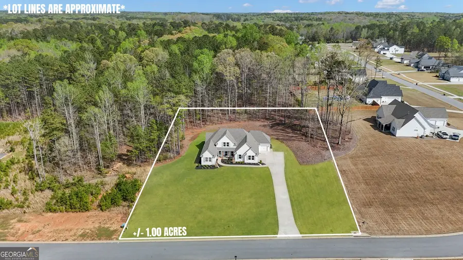 215 Greyfairs Avenue, Senoia, GA 30276 - #3