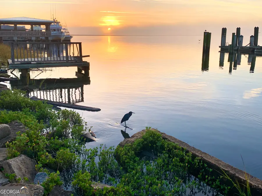 0 Point Peter Place, Saint Marys, GA 31558 - #3