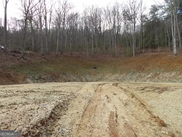 #2 Sunnyside Road (highway 288), Hiawassee, GA 30546