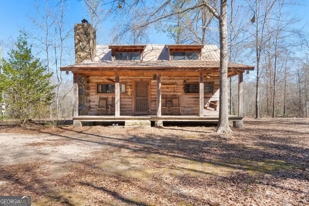 223 Eight Point Road, Butler, GA 31006 - #1