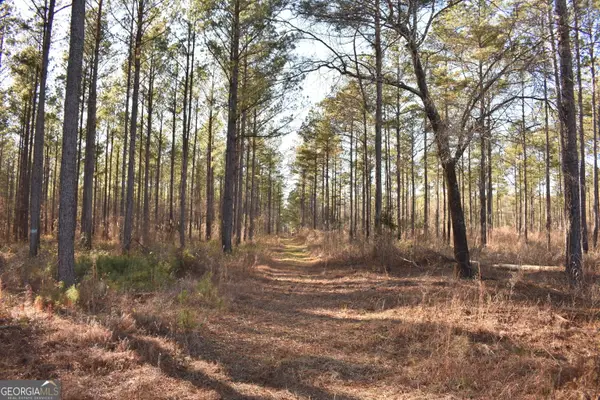 0 Bancroft Road, Blakely, GA 39823