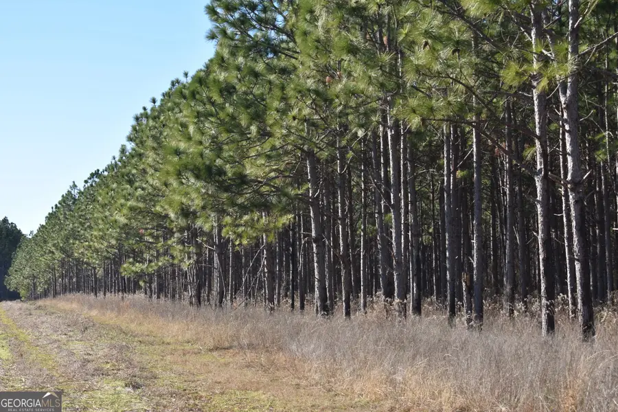 0 Bancroft Road, Blakely, GA 39823 - #3