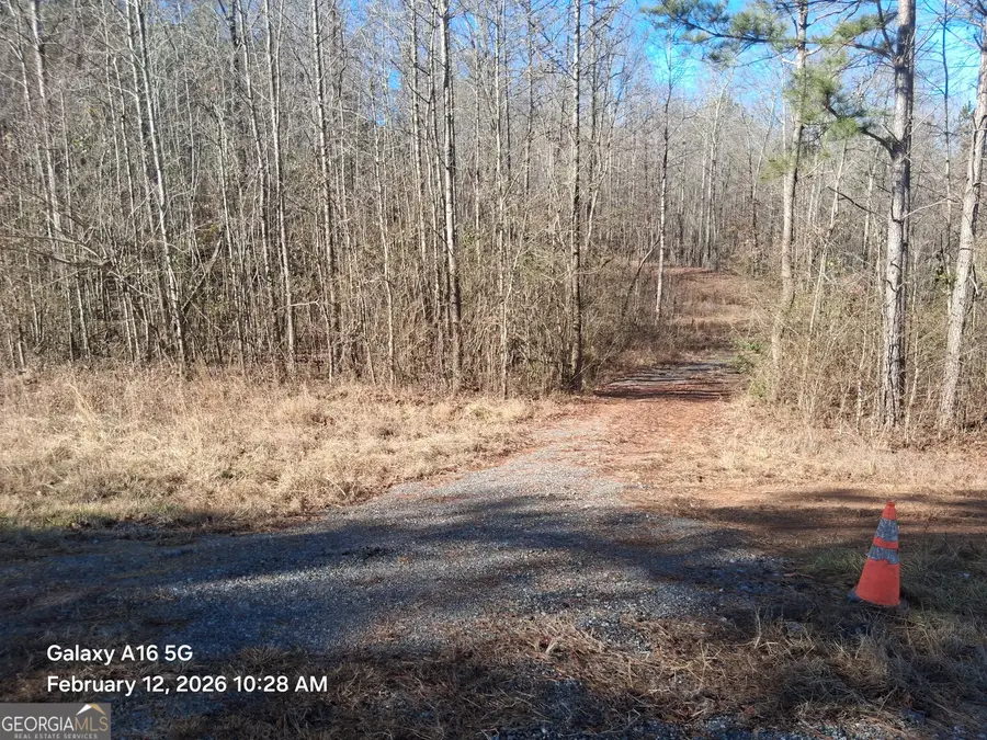 887 Allen, Grantville, GA 30222 - #2