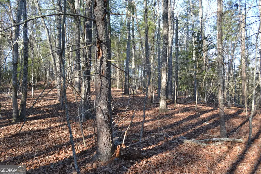 0 Mill Creek Trail, Cleveland, GA 30528 - #3