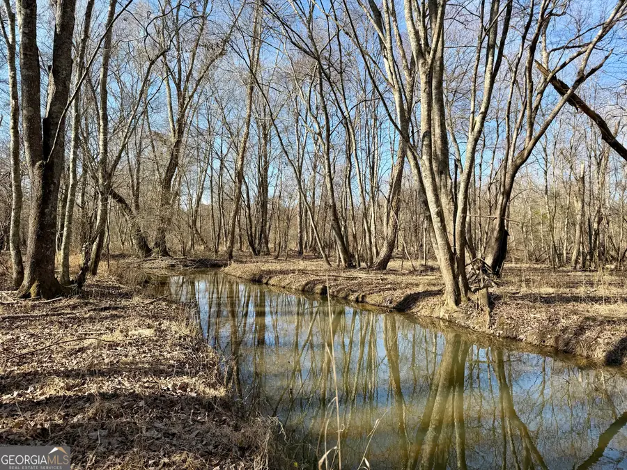 0 Neely, Sharpsburg, GA 30277 - #2