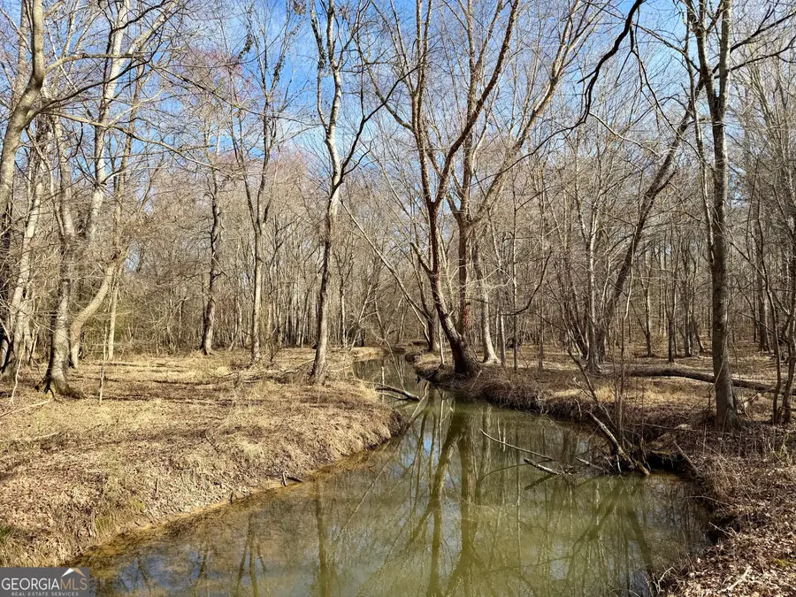0 Neely, Sharpsburg, GA 30277 - #3