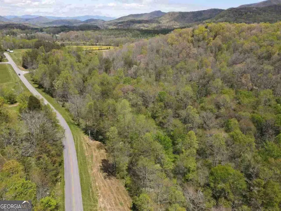 513 Trackrock Gap Road, Blairsville, GA 30512 - #2