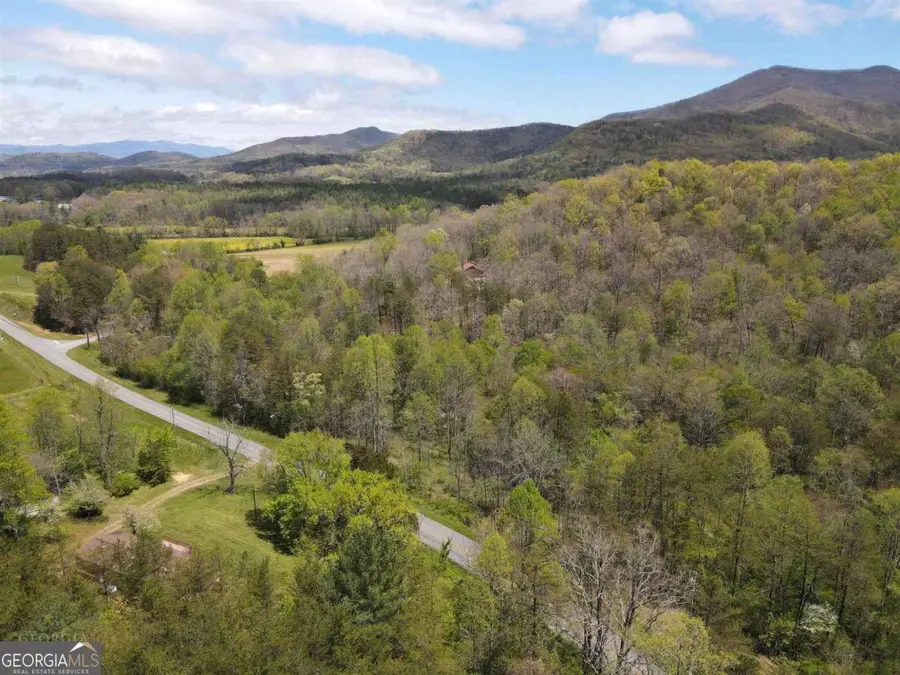 513 Trackrock Gap Road, Blairsville, GA 30512 - #3
