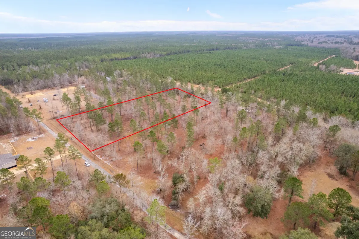 TRACT 2 Loggan Lane, Jesup, GA 31546 - #1