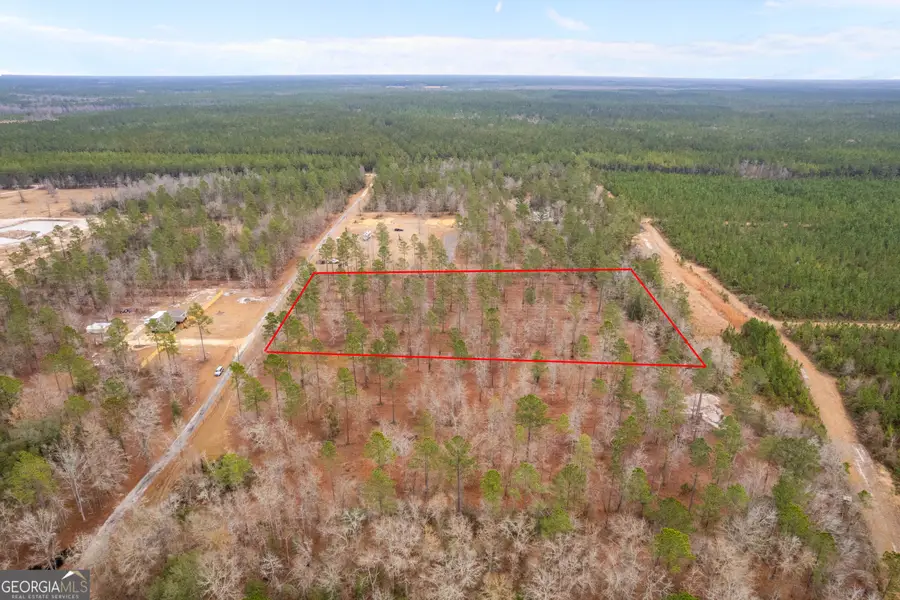 TRACT 2 Loggan Lane, Jesup, GA 31546 - #3