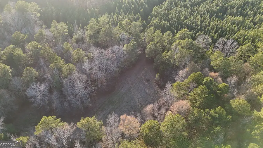 0 Cunningham Road, Greensboro, GA 30642 - #2