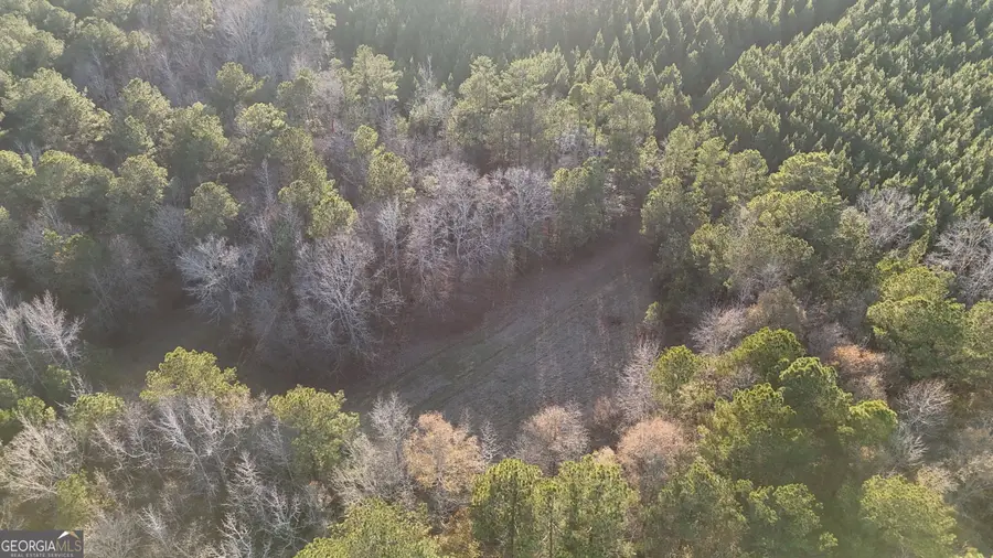 0 Cunningham Road, Greensboro, GA 30642 - #3