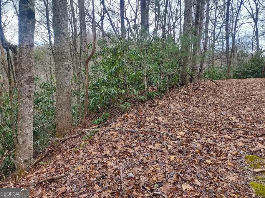 0 Labelle Circle Lot 229 & 230, Sky Valley, GA 30537 - #2