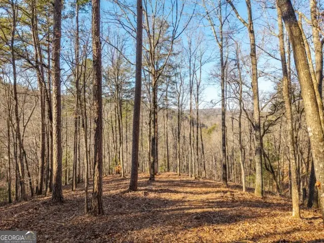 1665 Hunter Drive #42, Talking Rock, GA 30175 - #1