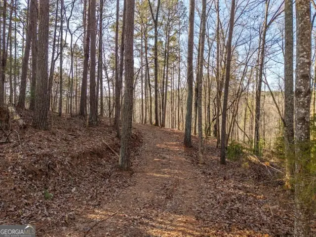 1665 Hunter Drive #42, Talking Rock, GA 30175 - #3