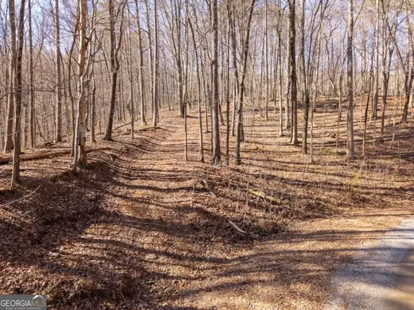 1110 Mayfield Lane, Ranger, GA 30734