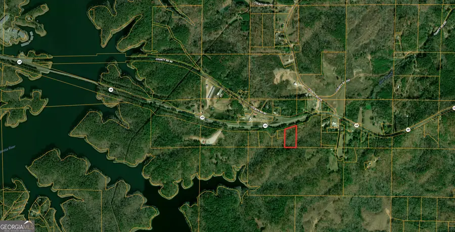 0 County Road 48, Wedowee, AL 36278 - #2